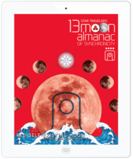 eBook Star Traveler's 13 Moon Almanac of Synchronicity