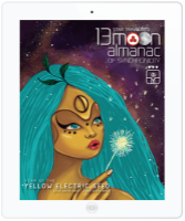 eBook Star Traveler's 13 Moon Almanac of Synchronicity